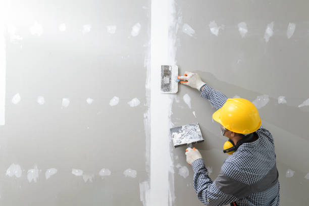 Best Mold Documentation for Insurance Claims  in Wailuku, HI