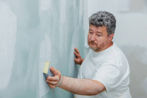 Best Emergency Mold Remediation  in Wailuku, HI