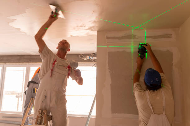 Best Mold Odor Removal Services  in Wailuku, HI