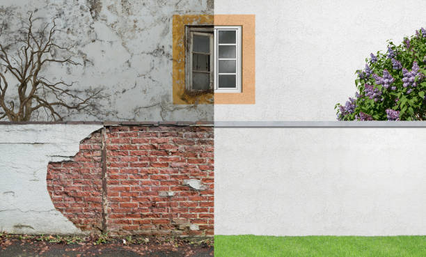 Best Black Mold Removal  in Wailuku, HI
