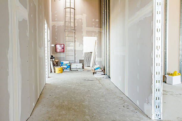 Best Mold-Related Health Consultation  in Wailuku, HI