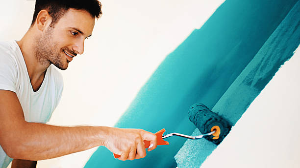 Best Real Estate Mold Inspection  in Wailuku, HI