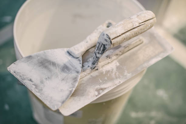Trusted Wailuku, HI Mold Removal Experts