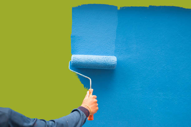 Best Commercial Mold Inspection  in Wailuku, HI