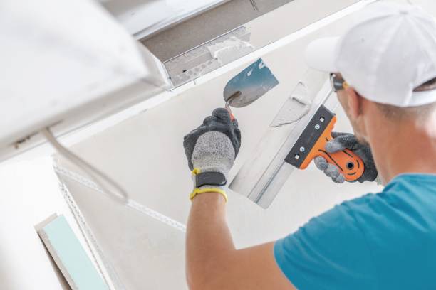 Best HVAC Mold Inspection and Cleaning  in Wailuku, HI
